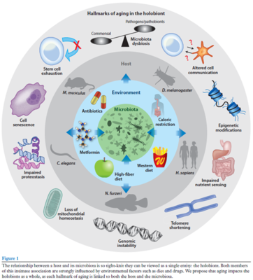 學術沙龍聚焦益生菌研究新進展，完美生科院探索生物產品研發新思路