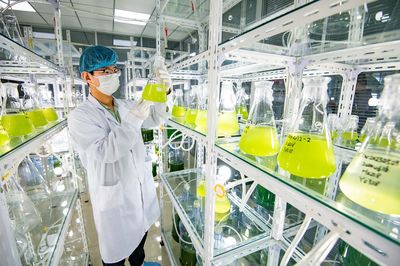 德州地福來生物科技 以研發為核，以推廣為翼，微藻沃土十萬頃